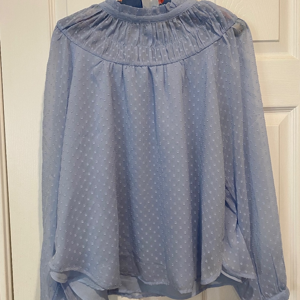 Loft Size M Pale Blue Long Sleeve Swiss Dot Top